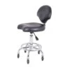 Ergonomic Grooming Stool With Back Support -Beauty Tool Store 590996feeaf51