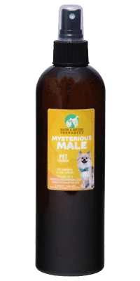 Bath And Brush Mysterious Male - 4.5 Oz