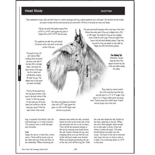 Notes From The Grooming Table - Second Edition - Image 2