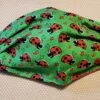Stardog Fabric Face Mask - Lady Bugs Print