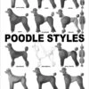 Breed Posters - Poodle Fashions (18" X 24") -Beauty Tool Store aaronco poodle