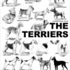 Breed Posters - The Terriers (18" X 36") -Beauty Tool Store aaronco the terriers