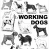 Breed Posters - Working Dogs (18" X 36") -Beauty Tool Store aaronco working dogs