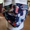Stardog Fabric Face Mask - Christmas Dogs -Beauty Tool Store pg1225