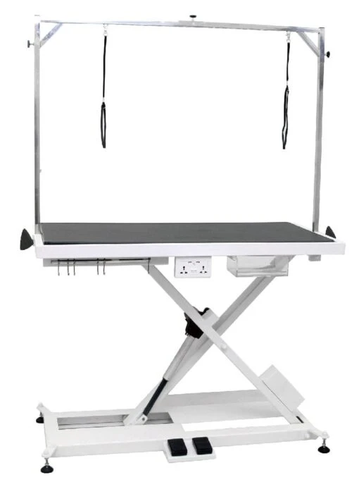 Pet-Agree X-Style Electric Lifting Table - 50" Top
