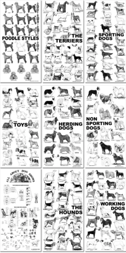 Breed Posters - Set Of All (9) Breed Posters